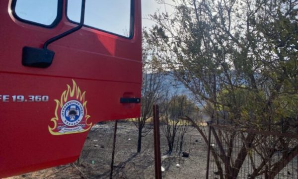 Φωτιά τώρα στην Βοιωτία – Επιχειρούν εναέρια μέσα