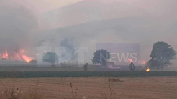 Σε ύφεση η πυρκαγιά στον Φενεό Κορινθίας: Ζημιές και εκκενώσεις χωριών – Συνελήφθησαν δύο άτομα