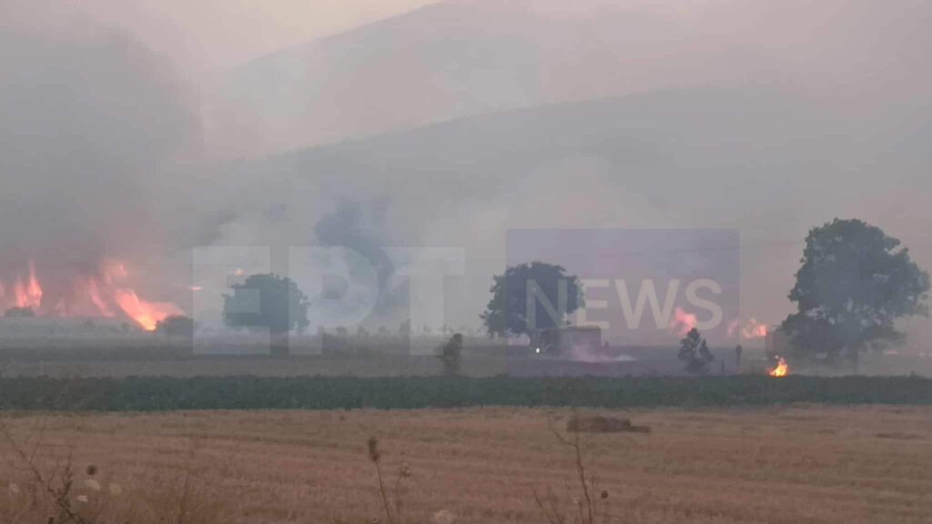 Σε ύφεση η πυρκαγιά στον Φενεό Κορινθίας: Ζημιές και εκκενώσεις χωριών – Συνελήφθησαν δύο άτομα