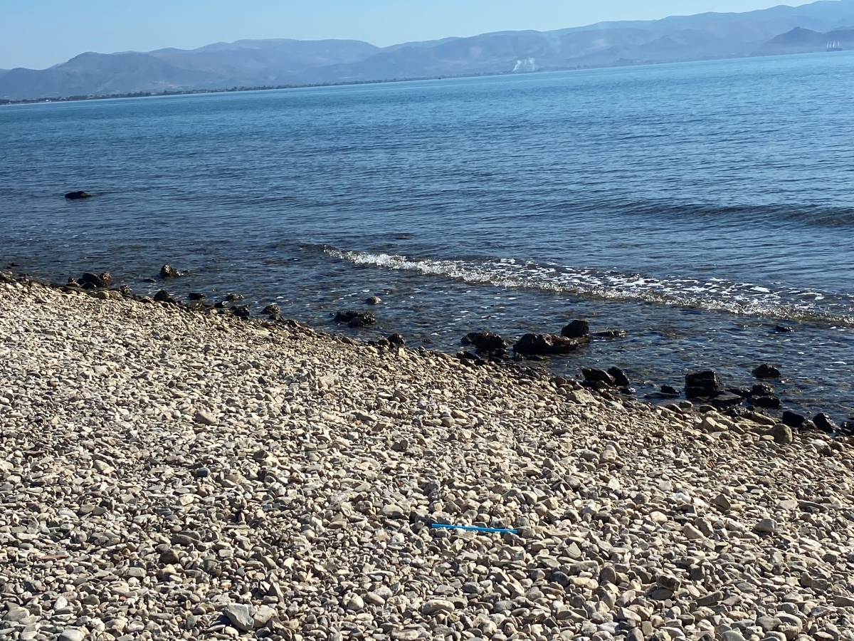 Ο καιρός με την Α. Τυράσκη: Τοπικές καταιγίδες από Δευτέρα και μέχρι τα μέσα της εβδομάδας