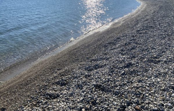 Σορός άνδρα ανασύρθηκε από τη θαλάσσια περιοχή της Αρτέμιδας
