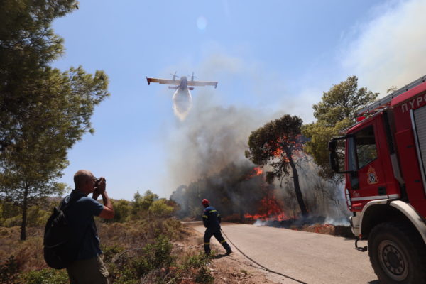 Φωτιά τώρα: Επί ποδός οι πυροσβεστικές δυνάμεις για αναζωπυρώσεις – Τα πύρινα μέτωπα στην επικράτεια
