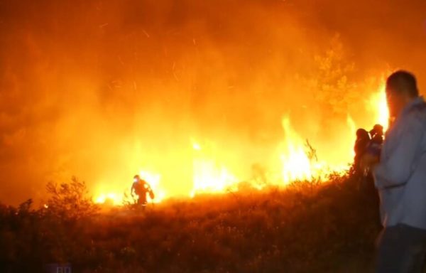 Πυρκαγιά σε χαμηλή βλάστηση στην Οινόη: Επί ποδός η Πυροσβεστική – Ήχησε το 112
