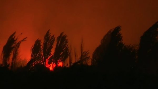 Σε εξέλιξη η φωτιά στην περιοχή του Ευηνοχωρίου Αιτωλοακαρνανίας – Σε ύφεση τα υπόλοιπα πύρινα μέτωπα