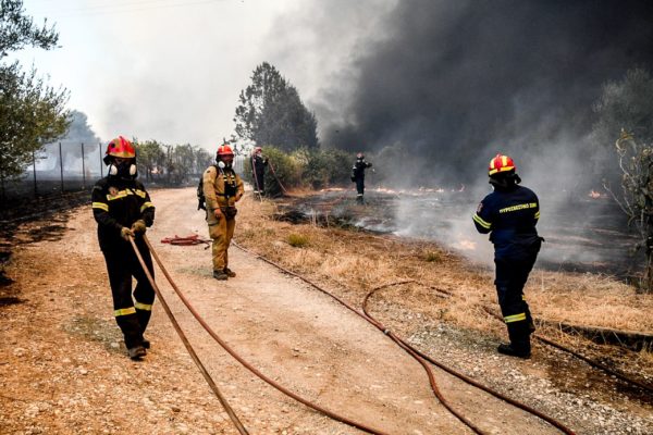 Ελαιόλαδο: Γιατί οι Ισπανοί δεν φοβούνται το «μπλόκο» Τραμπ