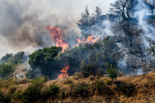 Βελτιωμένη η εικόνα της φωτιάς στην Αχαΐα – Συνεχείς επιχειρήσεις και μία σύλληψη για εμπρησμό