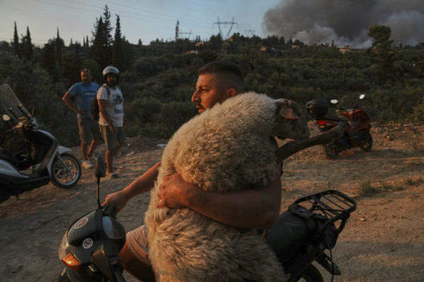 Φωτιά τώρα: Συγκλονιστικές εικόνες από την Πάτρα – Μάχη με τις φλόγες και αγώνας για σωτηρία