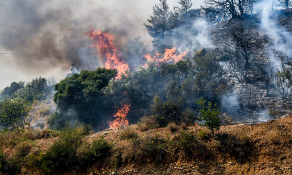 Κ. Τσίγκας στο ΕΡΤΝews: 320 άτομα έχουν συλληφθεί από την αρχή του χρόνου για πρόκληση πυρκαγιών – Οι 40 από αυτούς με πρόθεση