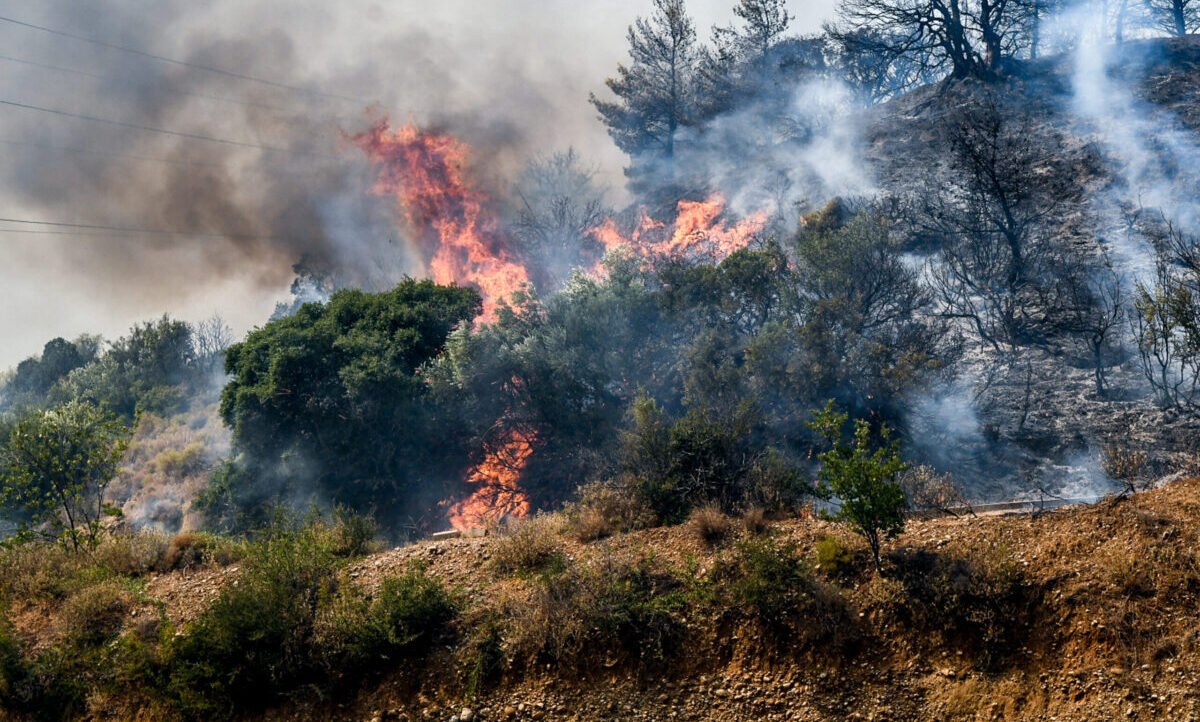 Κ. Τσίγκας στο ΕΡΤΝews: 320 άτομα έχουν συλληφθεί από την αρχή του χρόνου για πρόκληση πυρκαγιών – Οι 40 από αυτούς με πρόθεση