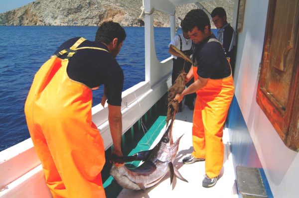 ΣΥΡΙΖΑ-ΠΣ: Απρόθυμη η κυβέρνηση να υπερασπιστεί τα κυριαρχικά δικαιώματα της χώρας και τους Έλληνες αλιείς