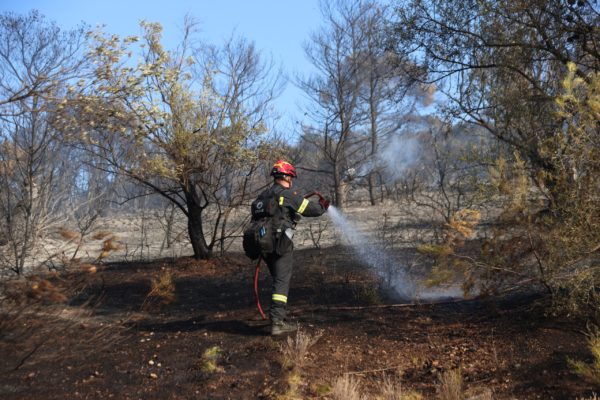 Πυροσβεστική: 30 αγροτοδασικές πυρκαγιές το τελευταίο 24ωρο