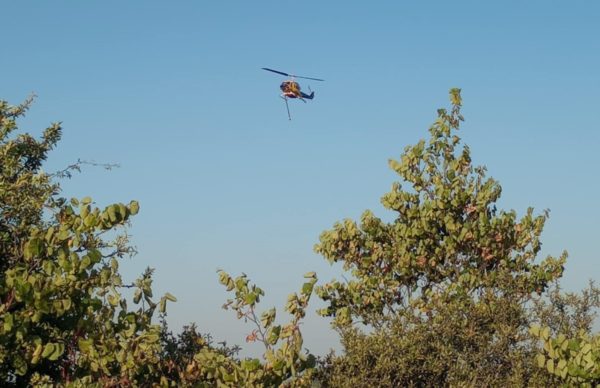 Πυρκαγιά σε δασική έκταση στη Στεμνίτσα Αρκαδίας – Επιχειρούν ισχυρές δυνάμεις της Πυροσβεστικής