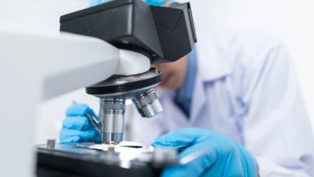 Συναγερμός για την εξάπλωση επικίνδυνου μύκητα στα νοσοκομεία – Τι λέει ο Μαγιορκίνης