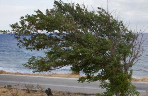 Απαγορευτικό απόπλου από Πειραιά, Ραφήνα και Λαύριο – Ποια δρομολόγια θα γίνουν