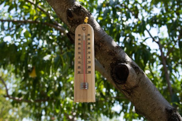 Κ. Καρτάλης στο ΕΡΤnews Radio για θανάτους στην Αθήνα λόγω κλιματικής αλλαγής: Τα συστήματα υγείας να προετοιμαστούν για έναν κίνδυνο πιο επιθετικό (audio)
