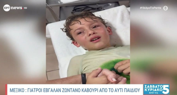 Μεξικό: Γιατροί έβγαλαν ζωντανό καβούρι από το αυτί αγοριού – Επική η αντίδρασή του (βίντεο)