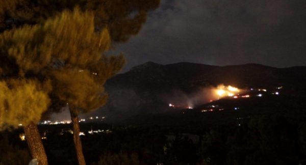 Φωτιά τώρα στην Πάρνηθα – Ισχυρές πυροσβεστικές δυνάμεις στο σημείο