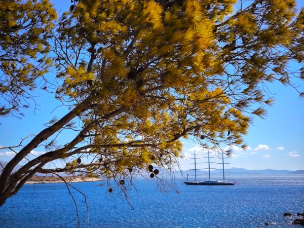 Καιρός: Βελτιωμένος με ηλιοφάνεια και άνοδο της θερμοκρασίας – Πρόγνωση από την Α. Τυράσκη