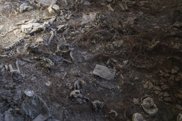 Συρία: Κρυφό ομαδικό τάφο τεραστίων διαστάσεων είχε δημιουργήσει η κυβέρνηση Άσαντ στην έρημο, αποκαλύπτει το Reuters