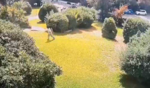 Βίντεο από τη δράση απατεώνων σε Χολαργό και Π. Ψυχικό – Προσποιούνταν υπαλλήλους ΔΕΔΔΗΕ, απέσπασαν μεγάλα ποσά