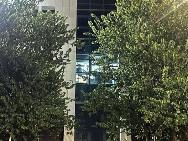 Διπλό φονικό στη Φοινικούντα: Προσωρινά κρατούμενοι και οι δύο κατηγορούμενοι – Ανοιχτή παραμένει η ανάκριση