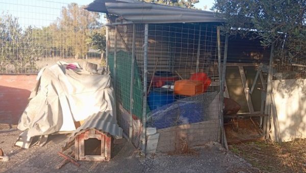 Ενοικιαστές σε απόγνωση, με όπλο το μαύρο χιούμορ: Η viral αγγελία στα Χανιά για το «κοτέτσι» των 1650 ευρώ