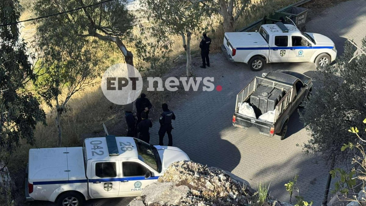 Βορίζια: «Το αίμα δεν ξεπλένει τίποτα, μόνο λερώνει» – Τι λένε στο ΕΡΤnewsRadio 105,8 ειδικοί επιστήμονες