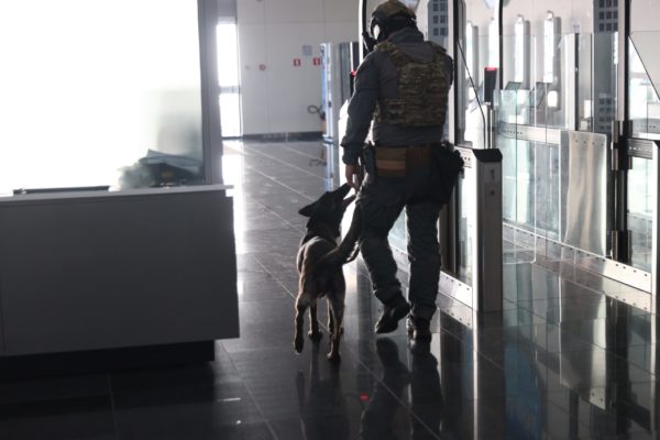 Συνελήφθη αρχηγικό μέλος κυκλώματος διακίνησης μεταναστών στον Πειραιά