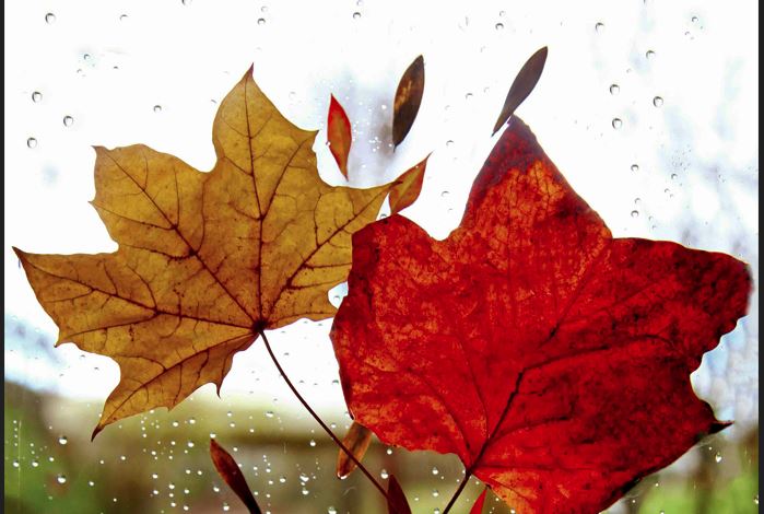 Καιρός: Βροχές και καταιγίδες μέχρι την Πέμπτη – Βελτίωση την Παρασκευή, νέα επιδείνωση το Σάββατο – Πρόγνωση από τον Χρ. Παρανό