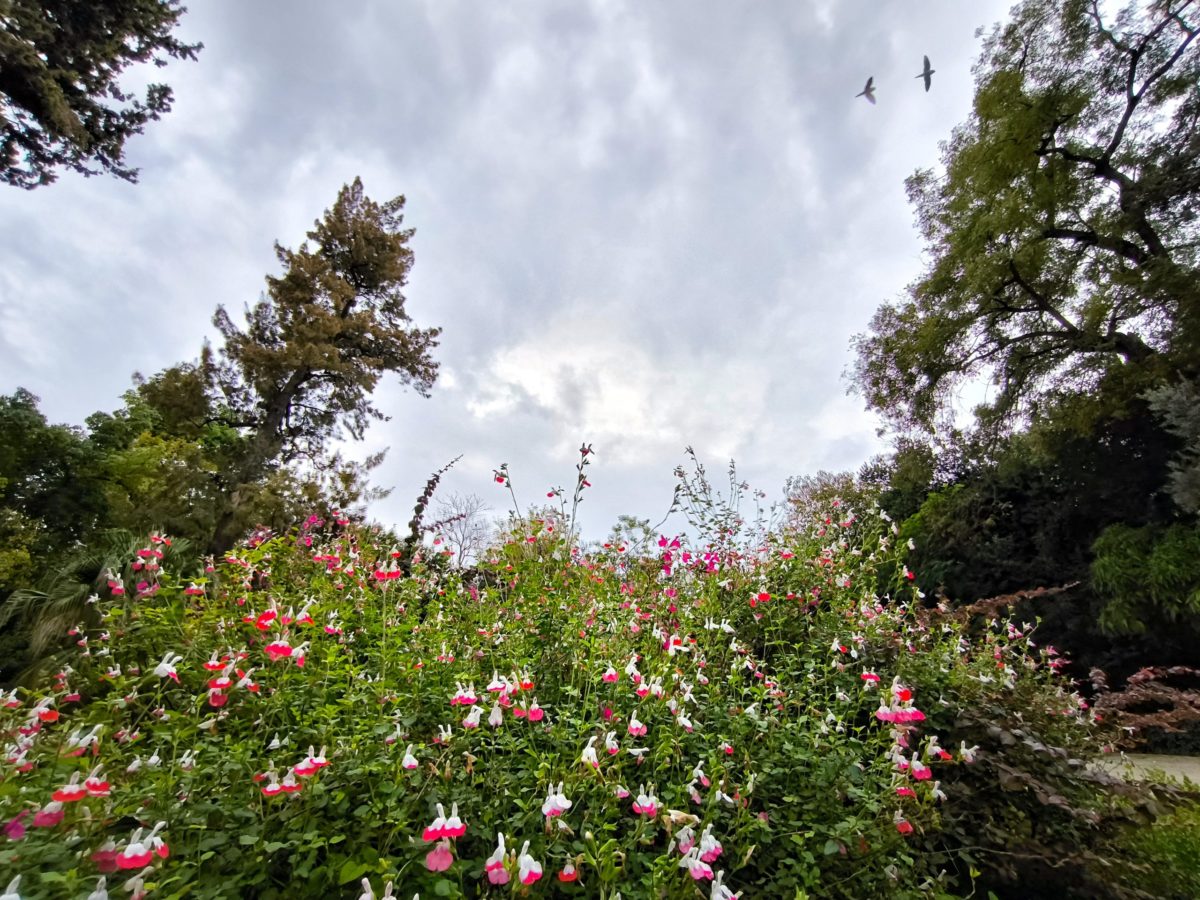 Καιρός: Αλλαγή καιρού με νοτιάδες και τοπικές βροχές το Σαββατοκύριακο του Μαραθωνίου – Πρόγνωση από τον Π. Γιαννόπουλο
