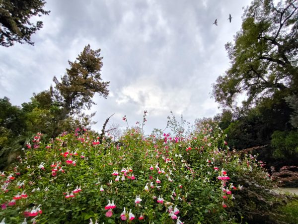 Καιρός: Αλλαγή καιρού με νοτιάδες και τοπικές βροχές το Σαββατοκύριακο του Μαραθωνίου – Πρόγνωση από τον Π. Γιαννόπουλο