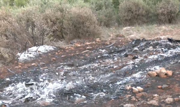 Απανθρακωμένο πτώμα με χειροπέδες μέσα σε καμένο όχημα στη Βοιωτία: «Καλοσχεδιασμένη ενέργεια, οι δράστες ίσως γνωρίζουν πολύ καλά την περιοχή» λέει η Δημογλίδου στο ΕΡΤnews