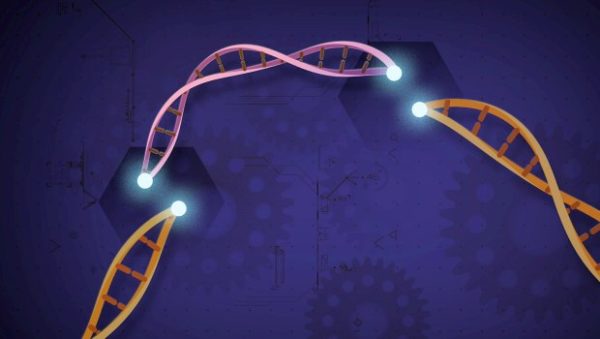 Πειραματική θεραπεία CRISPR υπόσχεται μόνιμη μείωση της χοληστερόλης με μια δόση