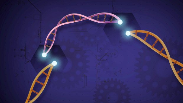 Πειραματική θεραπεία CRISPR υπόσχεται μόνιμη μείωση της χοληστερόλης με μια δόση