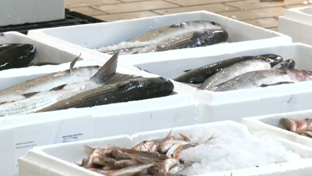 Ιχθυόσκαλα Κερατσινίου: Ποικιλία και τιμές ενόψει χριστουγεννιάτικης νηστείας – Ποια είδη επιλέγουν οι καταναλωτές