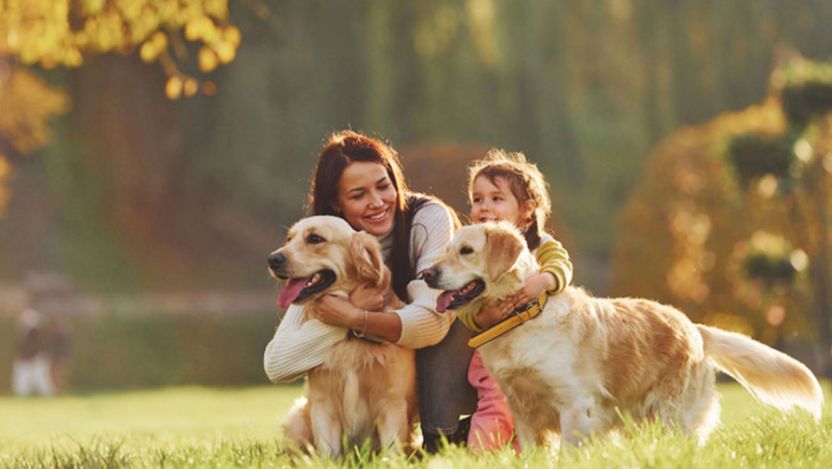 6 πράγματα που κάνει ο σκύλος σου επειδή τα κάνεις κι εσύ