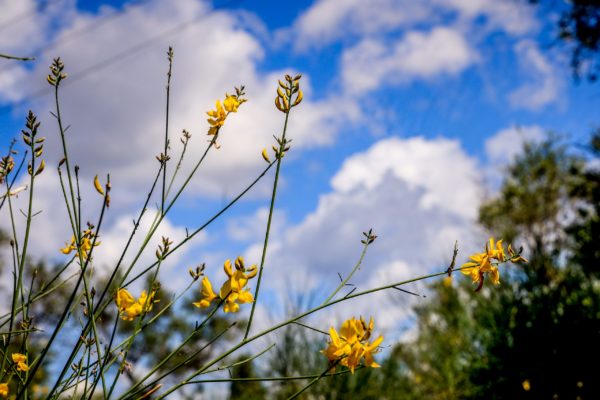 Μετά την… άνοιξη, έρχονται βροχές: Πότε αλλάζει ξανά ο καιρός και τι θα συμβεί με την «ψυχρή εισβολή»