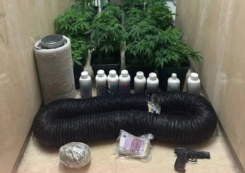 Πρώην αθλήτρια των Ολυμπιακών Αγώνων ανάμεσα στους συλληφθέντες για τις τηλεφωνικές απάτες με λεία 7,6 εκατ. ευρώ