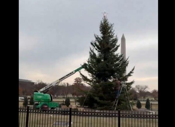 HΠΑ: Ο Λευκός Οίκος, υπό τον Τραμπ, στολίστηκε νωρίς – Από τη Νεβάδα ταξίδεψε το χριστουγεννιάτικο δέντρο