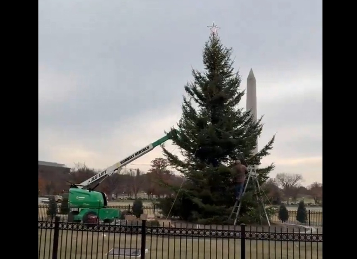 HΠΑ: Ο Λευκός Οίκος, υπό τον Τραμπ, στολίστηκε νωρίς – Από τη Νεβάδα ταξίδεψε το χριστουγεννιάτικο δέντρο