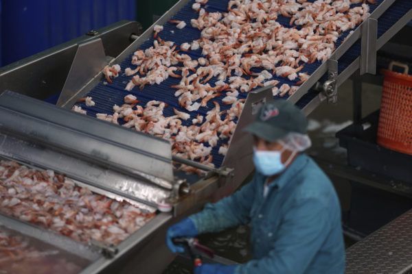 Η Κίνα αναστέλλει τις εισαγωγές θαλασσινών από την Ιαπωνία