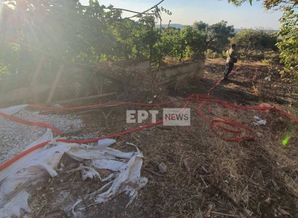 Με επιφανειακό καλώδιο 100 μ. η ρευματοκλοπή στη Δυτική Αττική – Φωτογραφία ντοκουμέντο από την παράνομη δραστηριότητα