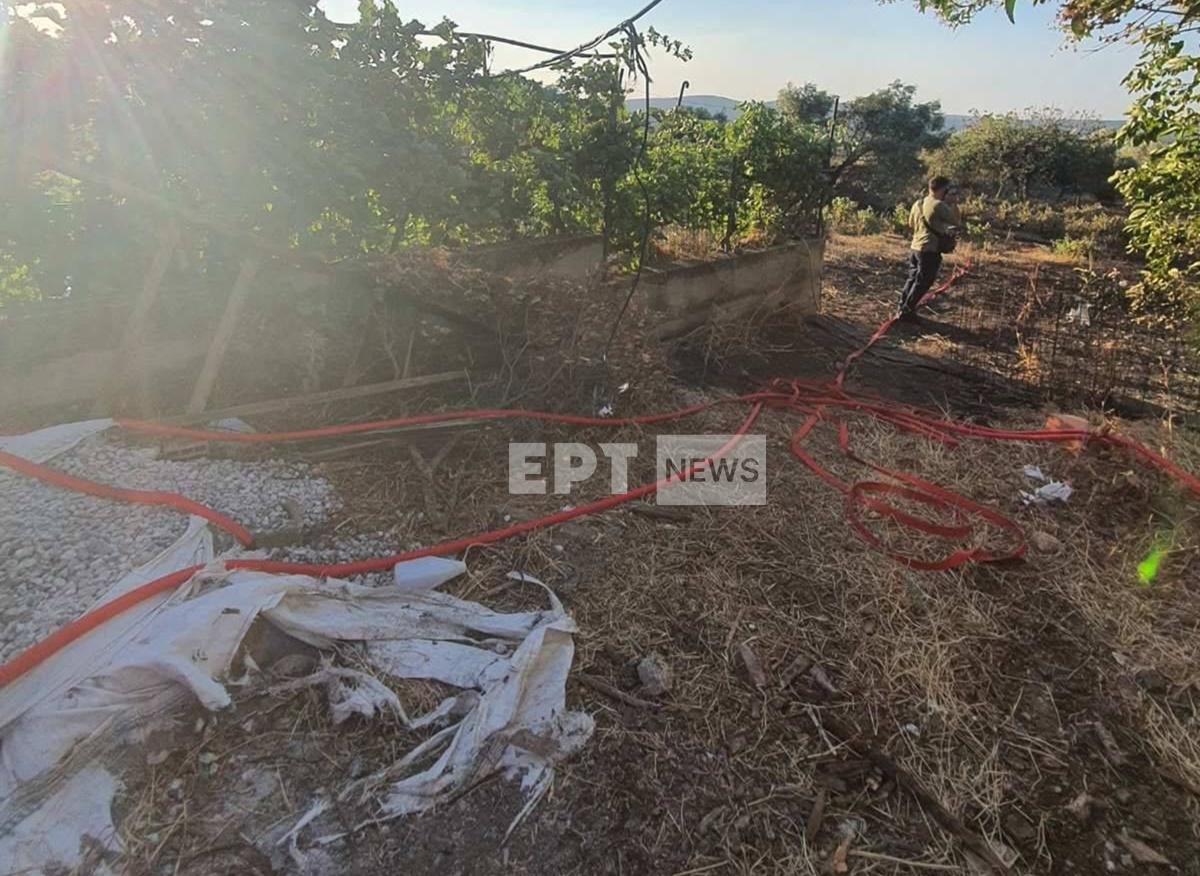 Με επιφανειακό καλώδιο 100 μ. η ρευματοκλοπή στη Δυτική Αττική – Φωτογραφία ντοκουμέντο από την παράνομη δραστηριότητα