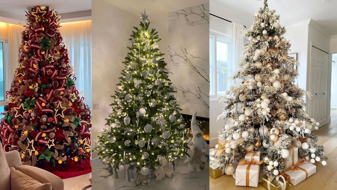 Ο απόλυτος οδηγός για να βρεις το δέντρο που σου ταιριάζει