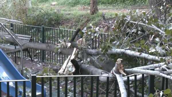 Δέντρο έπεσε σε παιδική χαρά στο Χαϊδάρι