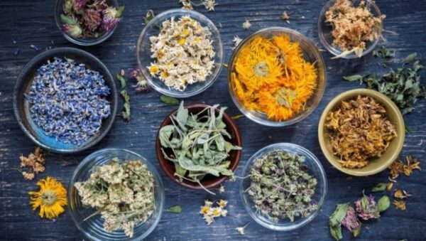 ΠΟΥ: Στροφή στην παραδοσιακή ιατρική με έρευνα για την αποτελεσματικότητα