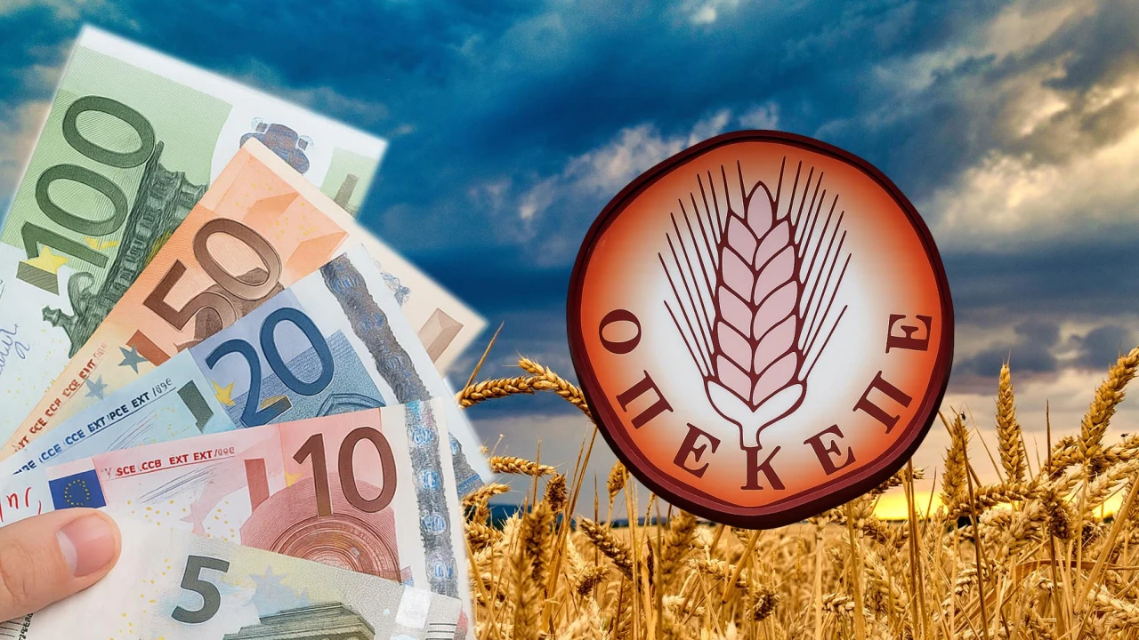 Σκάνδαλο ΟΠΕΚΕΠΕ: Σε εξέλιξη στην Κρήτη επιχείρηση της ΔΑΟΕ για τις παράνομες επιδοτήσεις – 14 προσαγωγές