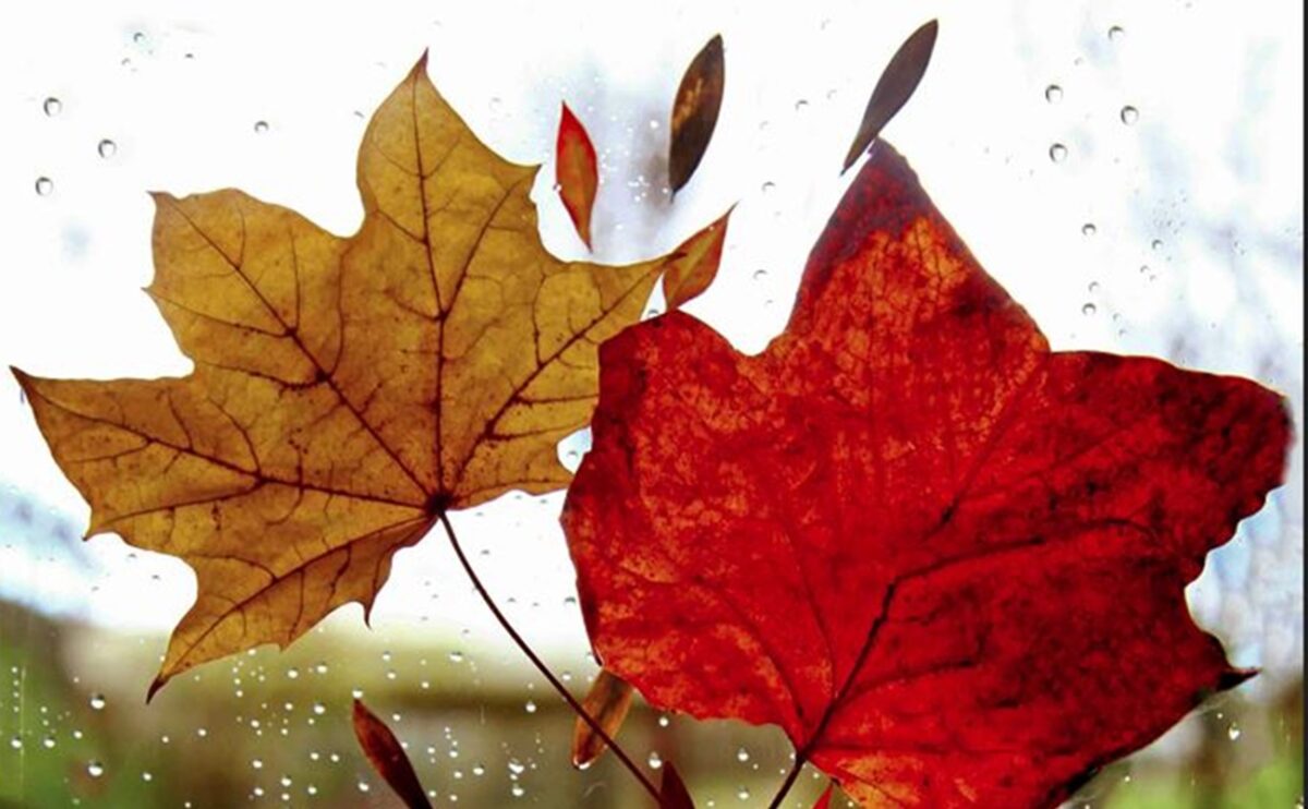 Καιρός: Λίγες βροχές, πρωινές ομίχλες και μικρή πτώση της θερμοκρασίας – Πρόγνωση από την Α. Τυράσκη