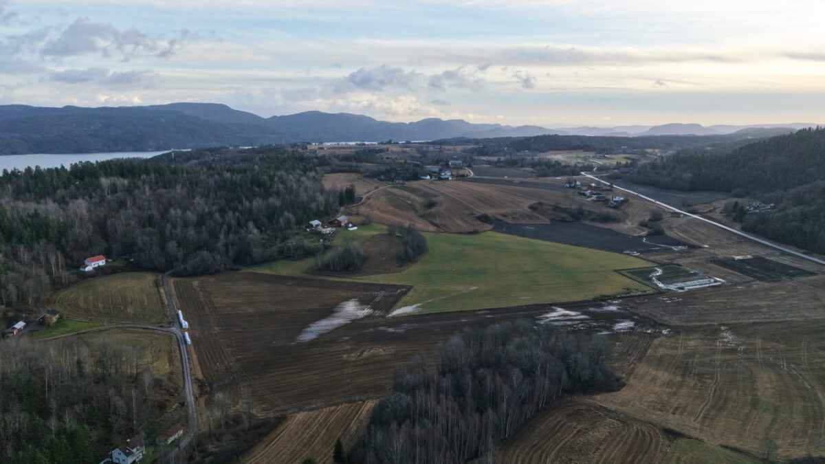 Νορβηγία: 78 επαπειλούμενα είδη χλωρίδας και πανίδας «μπλοκάρουν» την εξόρυξη του μεγαλύτερου κοιτάσματος σπάνιων γαιών της Ευρώπης