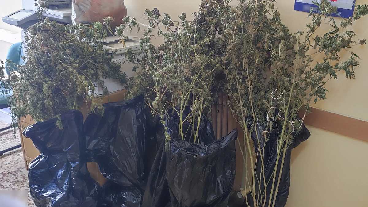 Συνελήφθησαν 3 άτομα για διακίνηση ναρκωτικών – Ανάμεσά τους ένας Υπαρχιπυροσβέστης